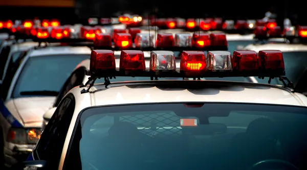 police cars in a line