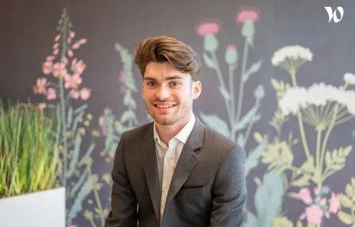Valentin, consultant data
