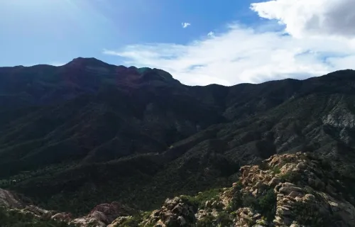 Nevada's vision for the future of government